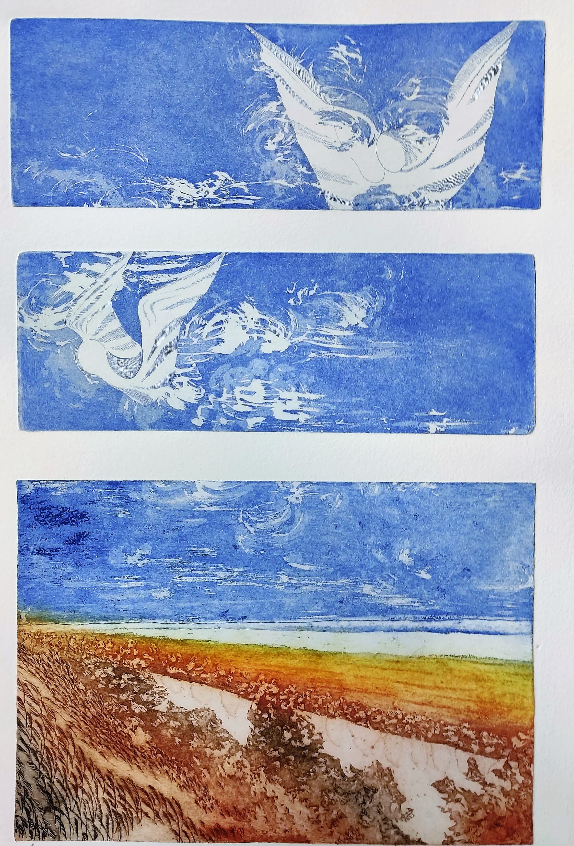Dall’argine, cielo - Foto 1