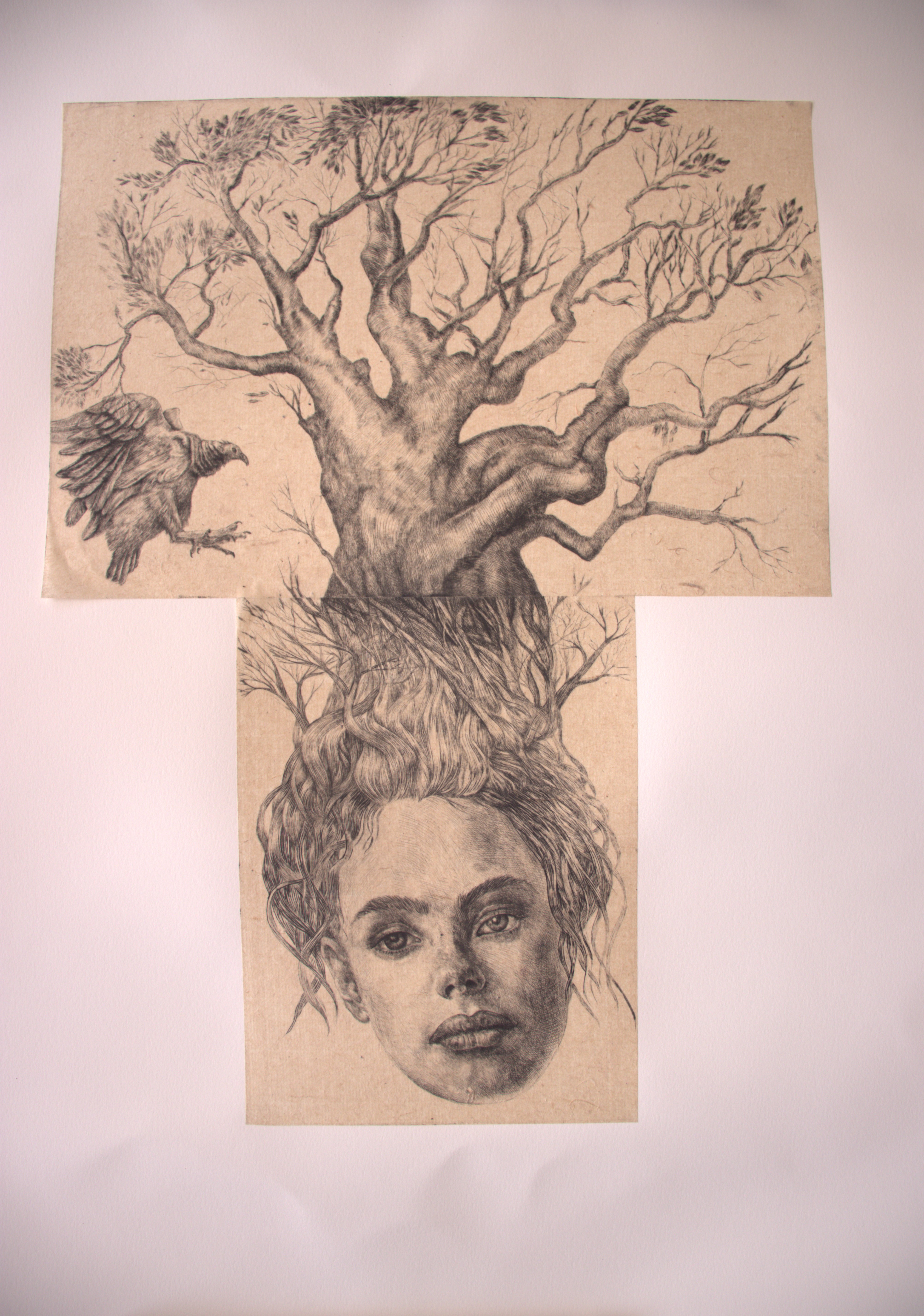 Axis mundi world tree - Foto 1