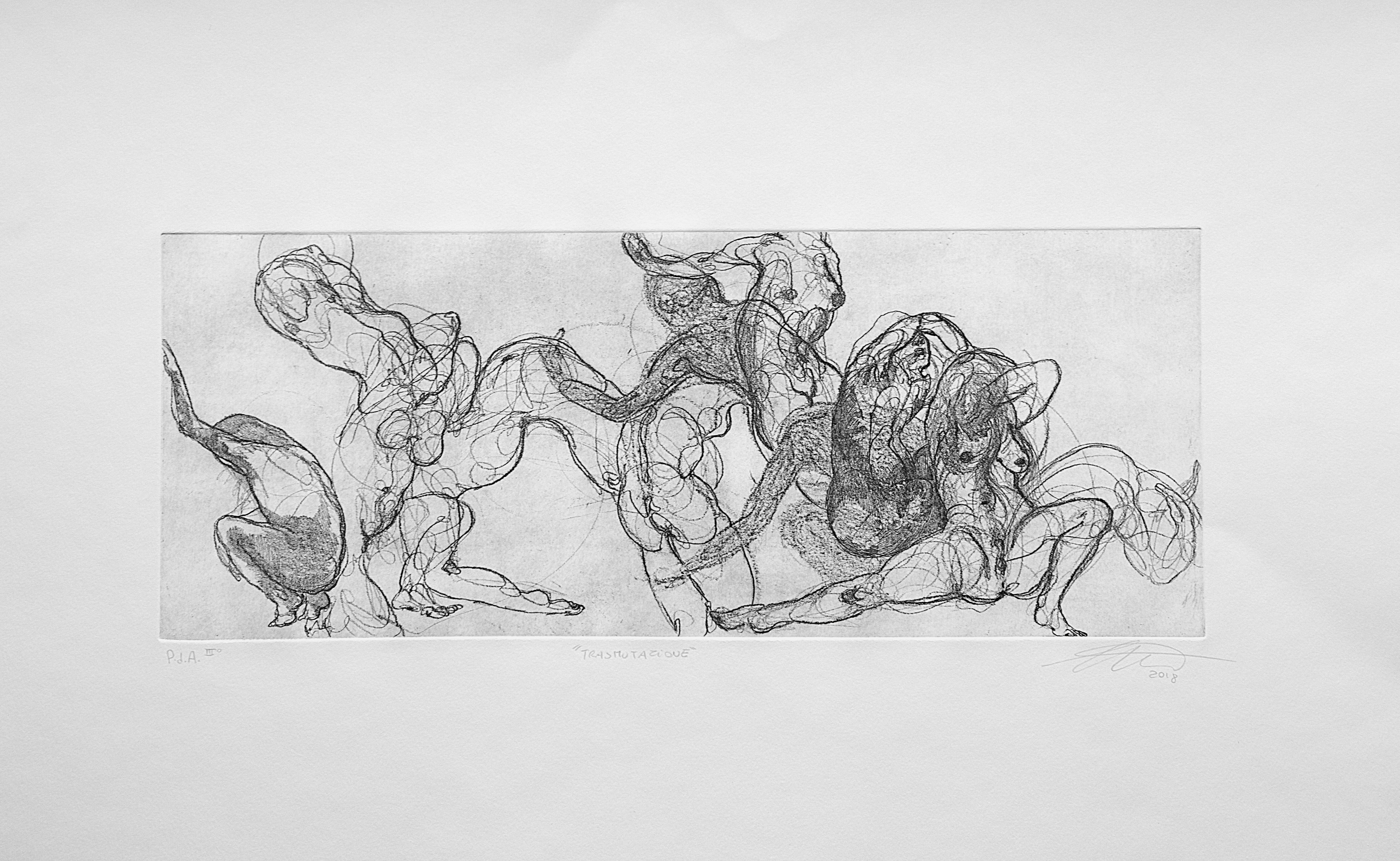 Trasmutazione - Foto 1